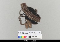 藏品(中國湖北皮影戲偶頭-旦)的圖片